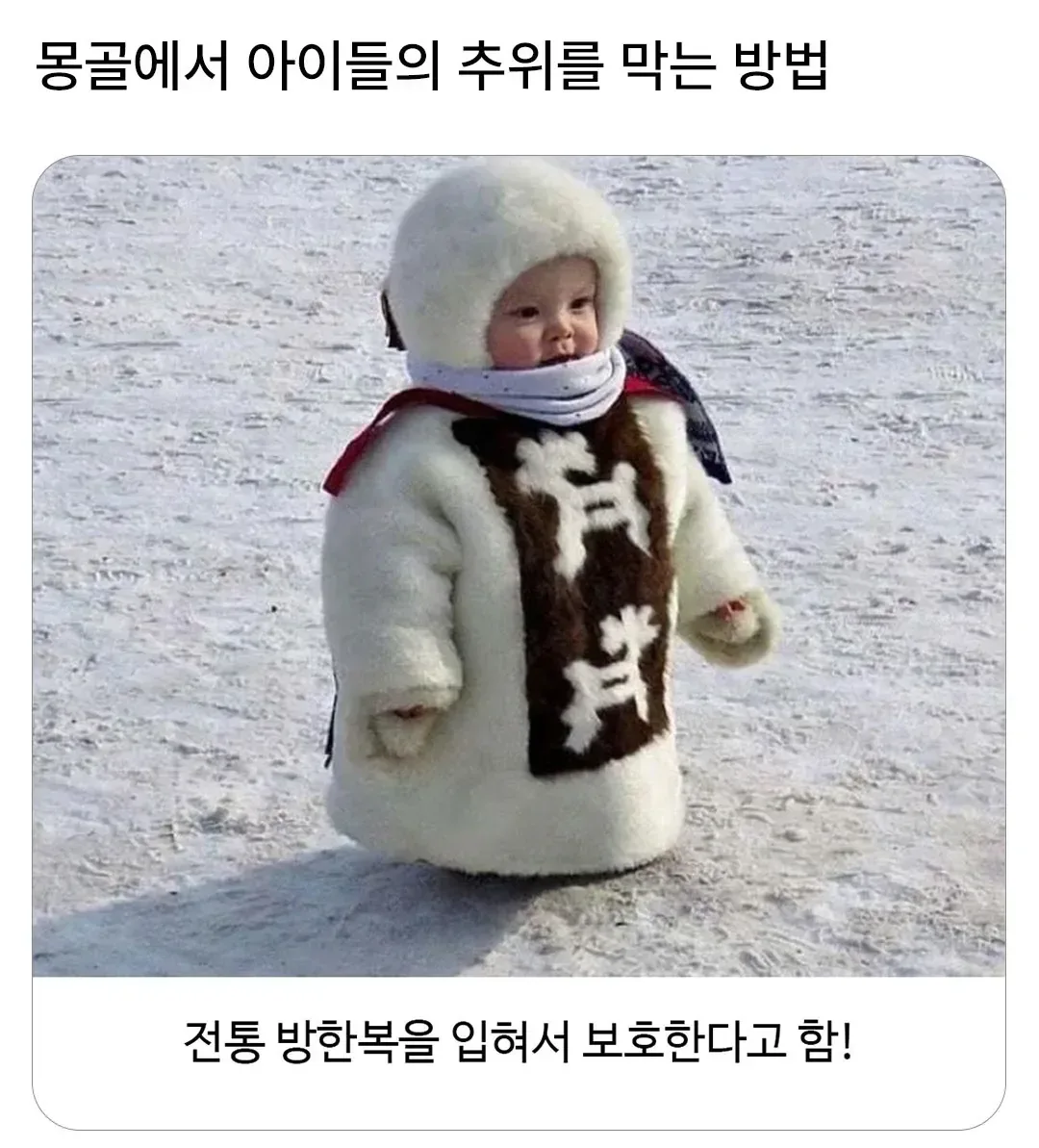 몽골에서 아이들의 추위를 막는 방법.jpg