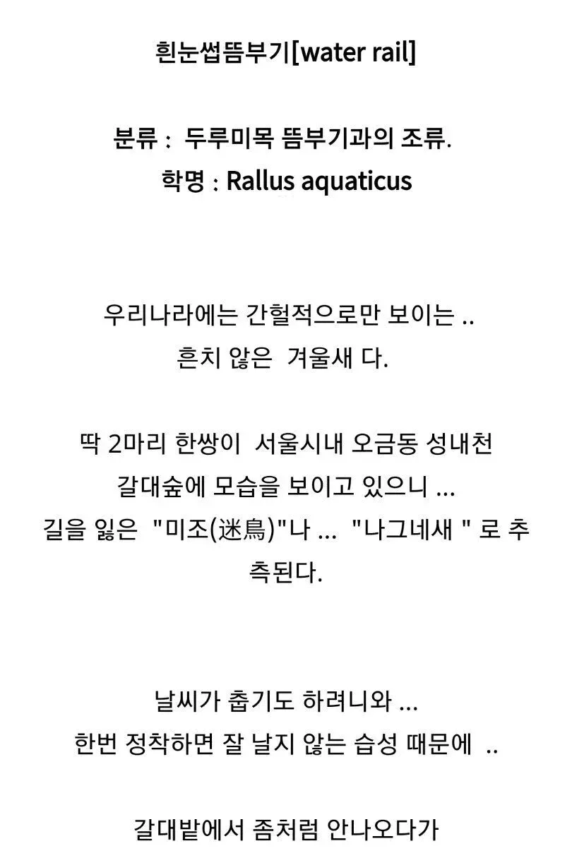 조류 동호회 회원들이 망연자실한 이유