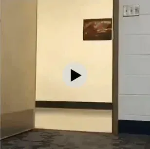 커브에 극도로 약한 골댕이.gif