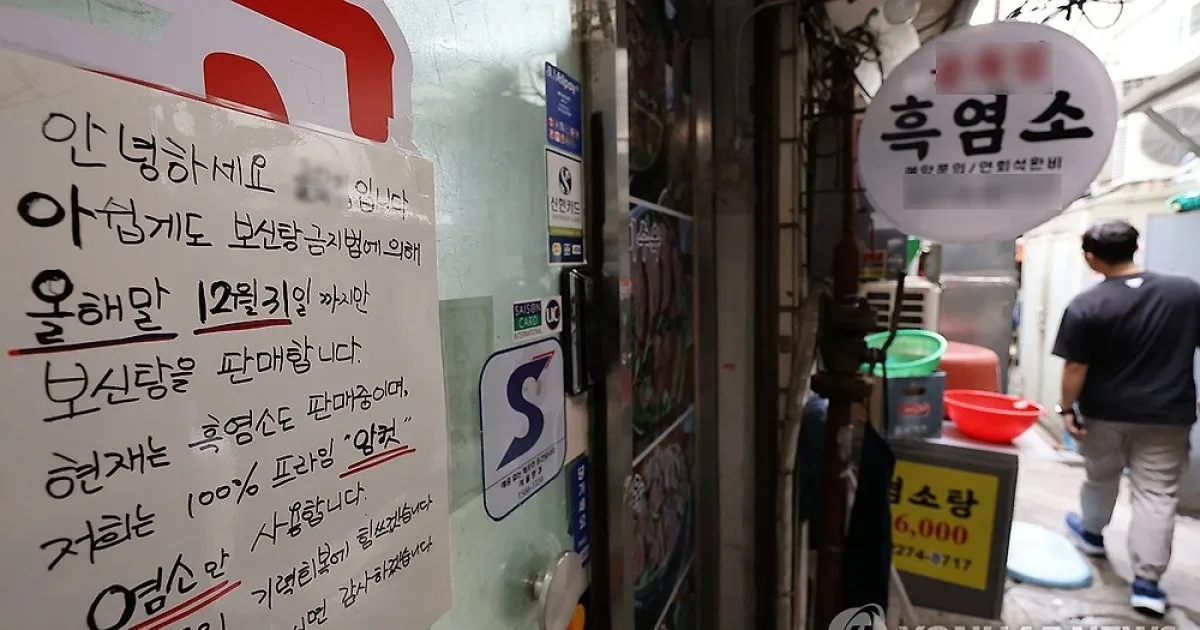 개 식용 금지 반년 앞두고…'보신탕' 업주들 결국 법정까지 갔다