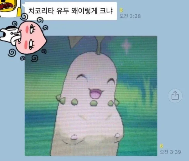 치코리타 유두 왜 이렇게 크냐.jpg