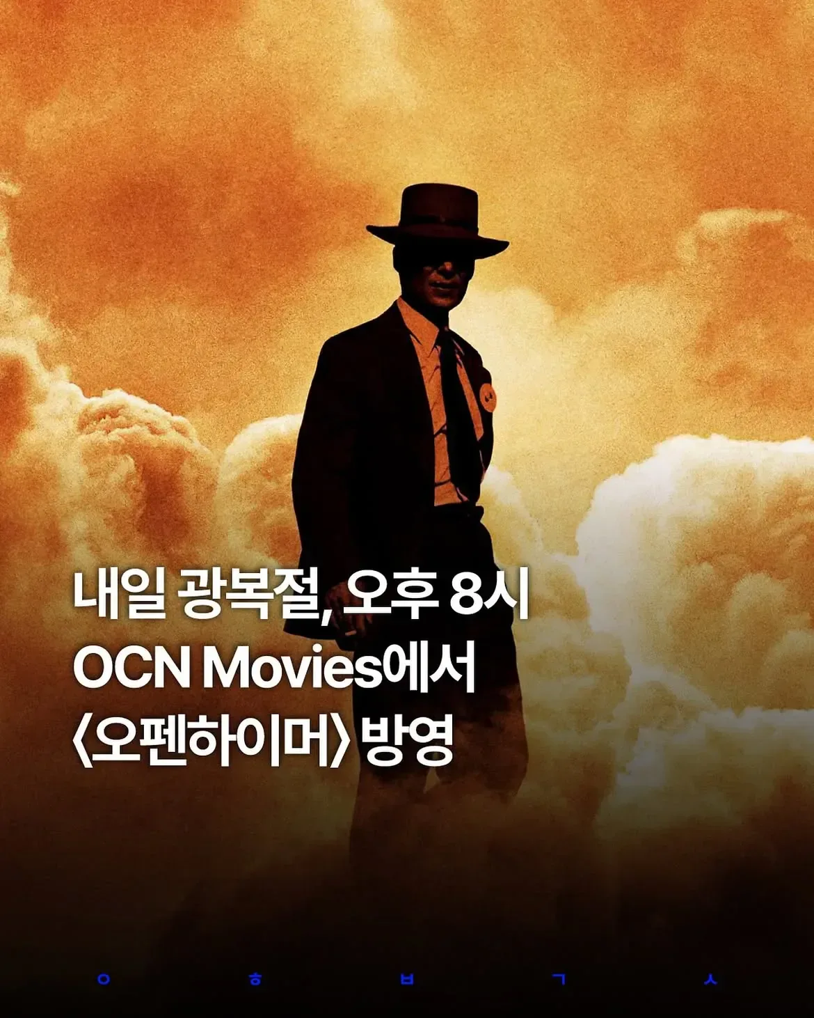 광복절 OCN 근황