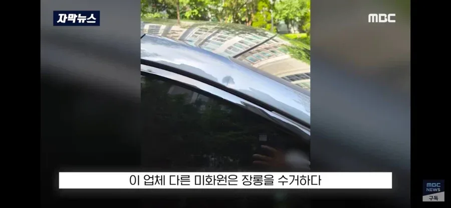 재물손괴 피해자가 가해자를 감싸준 사건