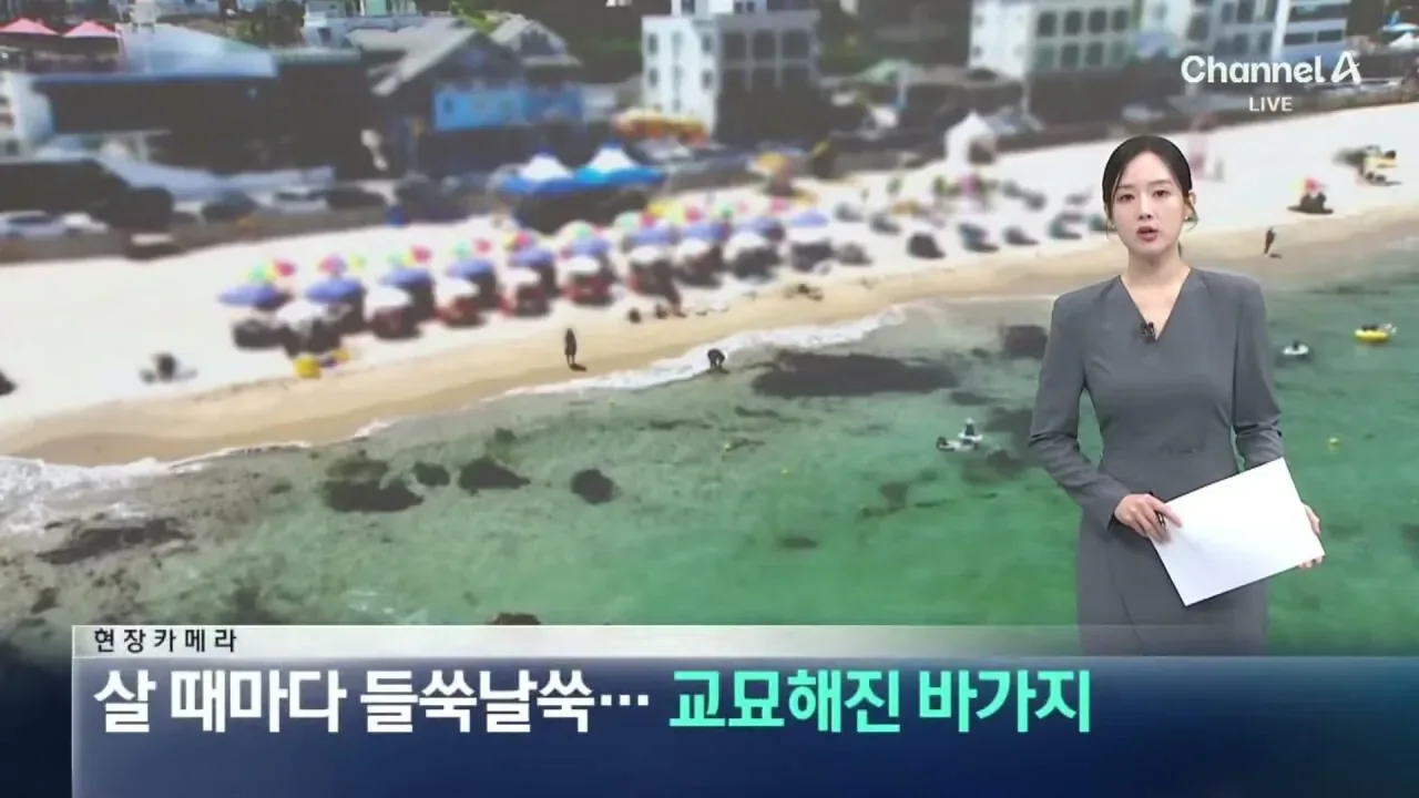 "바가지 싫으면 바다 오지마"... 정부 발표에도 여전한 바가지