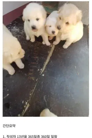 몸이 안좋아서 쉬러 시골 내려간 사람