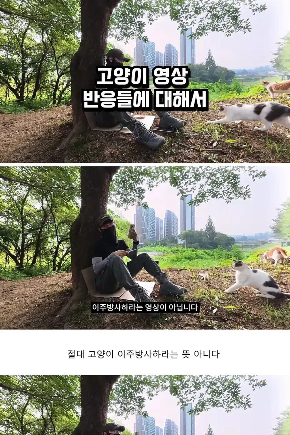 새덕후, "나는 고양이 혐오 안 한다"