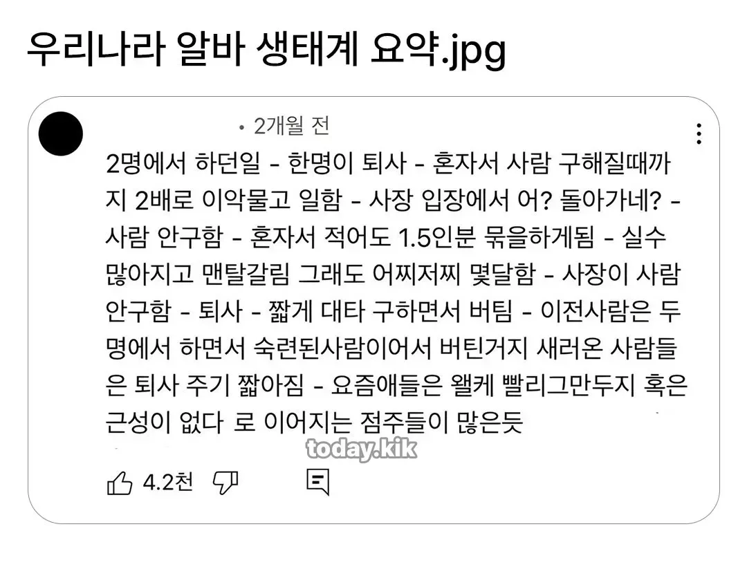 우리나라 알바 생태계 요약