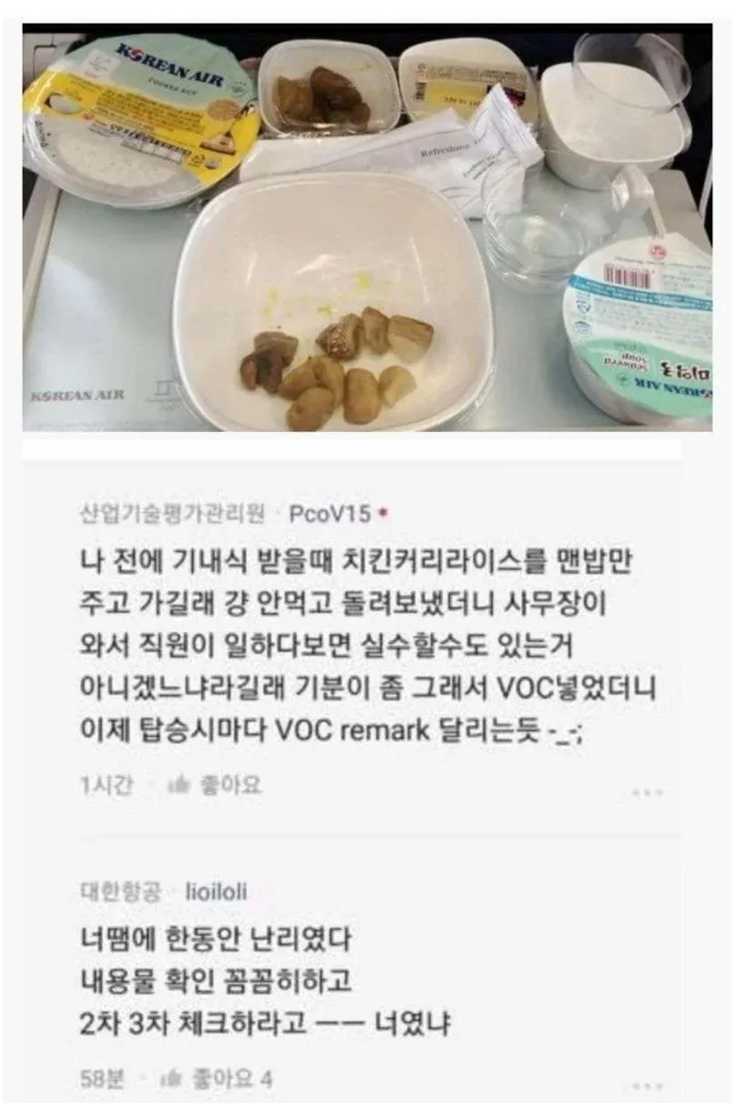 대한항공 기내식 레전드 사건