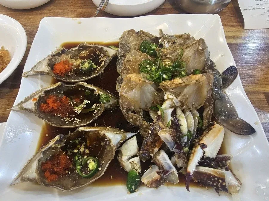 오늘의 점심