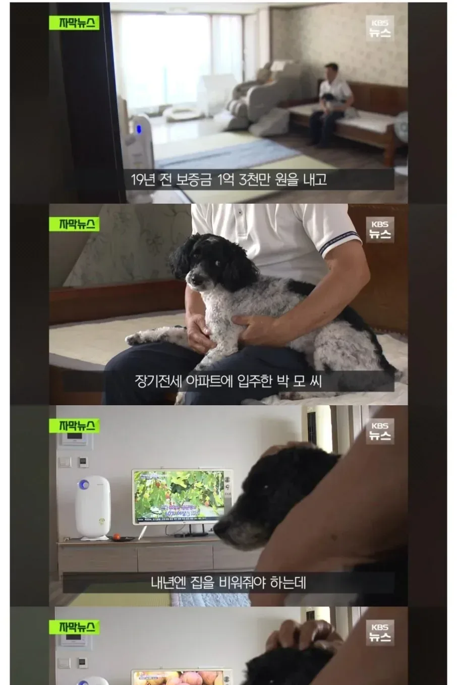 내년 만기되는 서울시 20년 장기전세 현황과 서울시 답변 나옴