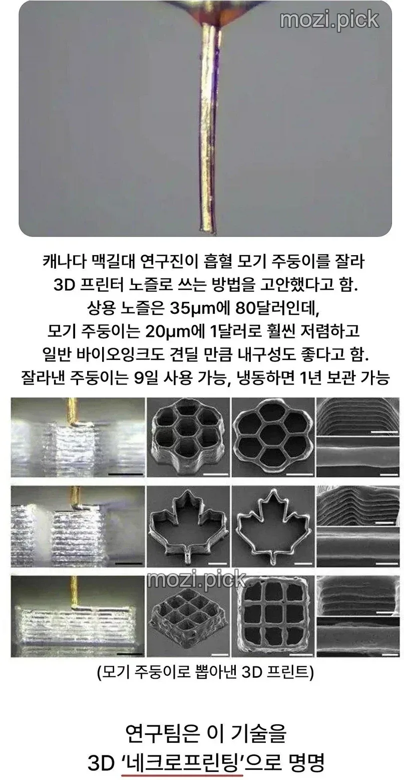 드디어 모기를 활용하기 시작한 인류