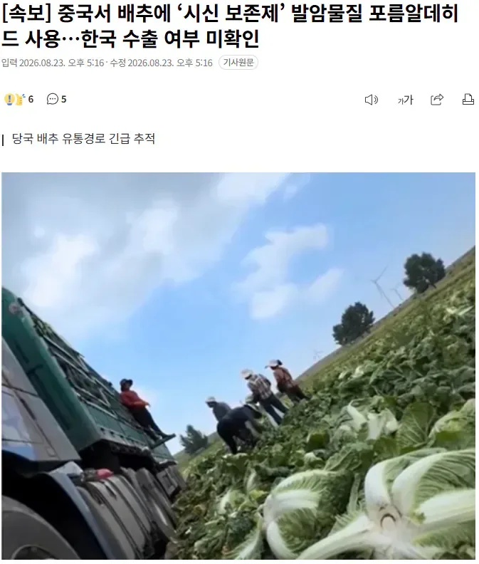 중국서 배추에 ‘시신 보존제’ 발암물질 포름알데히드 사용…한국 수출 여부 미확인