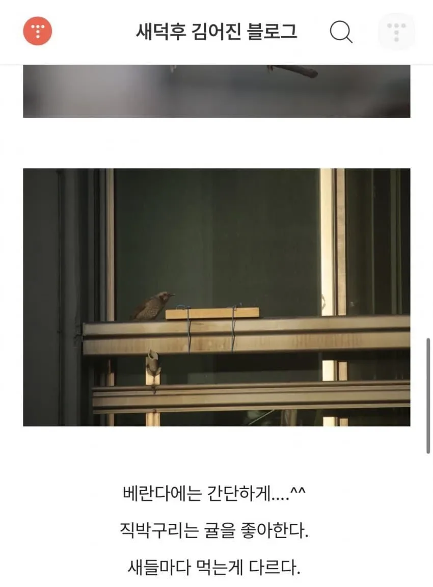 과거 유해조수에게 밥주던 새덕후 ㄷㄷ