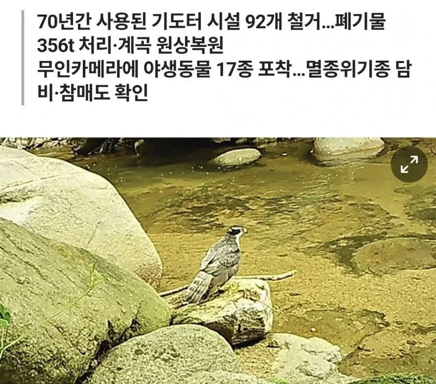 불법 시설물 걷어낸 팔공산 근황