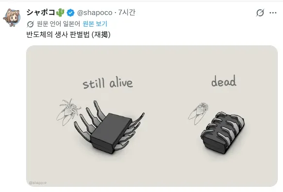 반도체의 생사 판별법