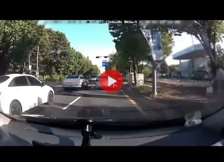 한문철 레전드 ) 자전거와 충돌한 자동차.mp4