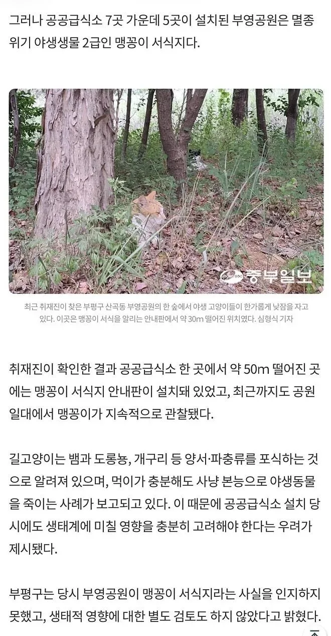 취재가 시작되자