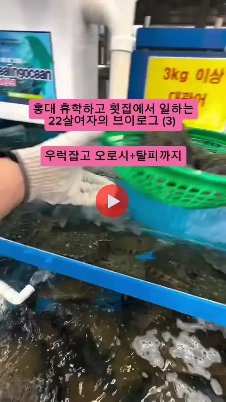 홍대 휴학하고 횟집에서 알바하는 여대생