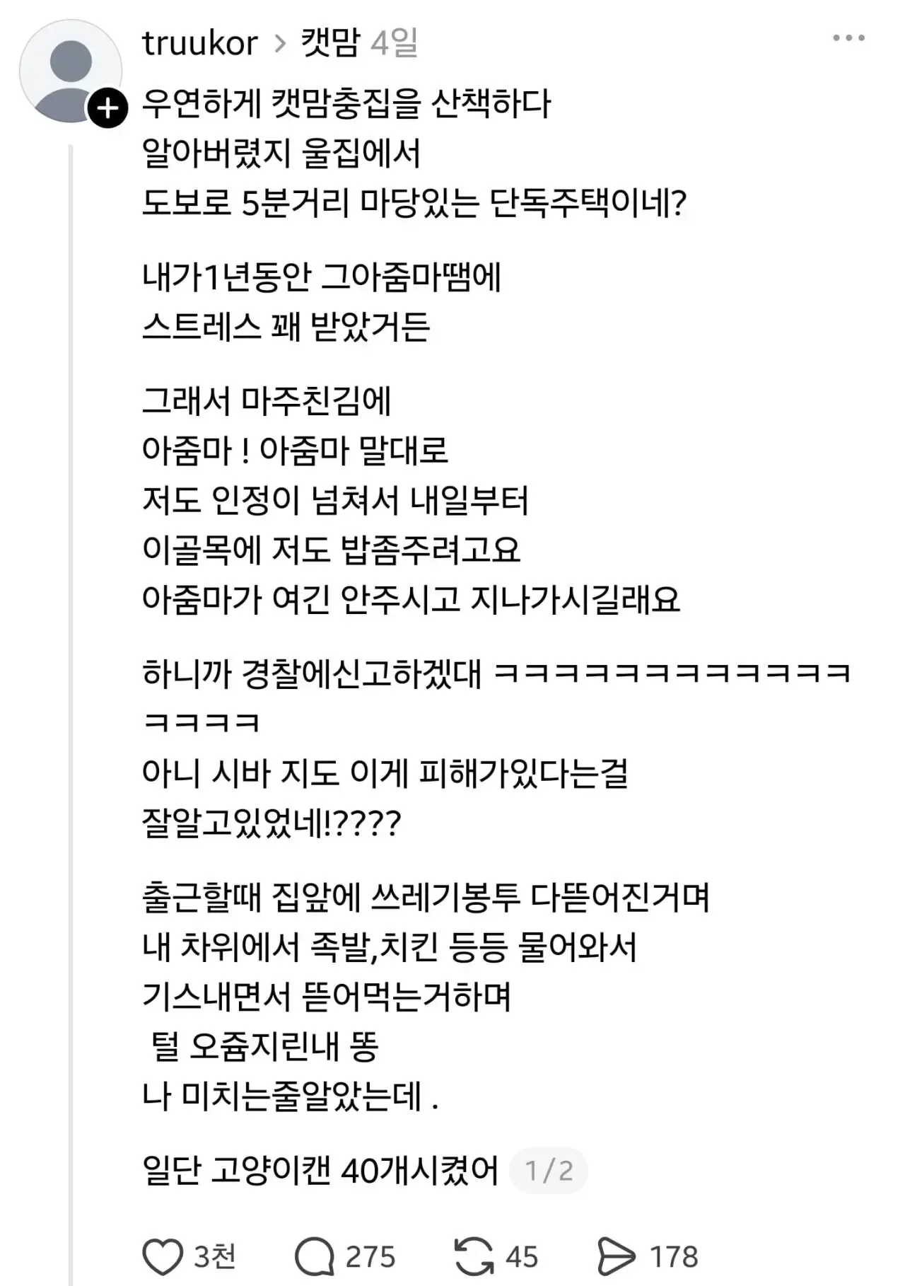 임자 제대로 만난 캣맘 ㅋㅋㅋ