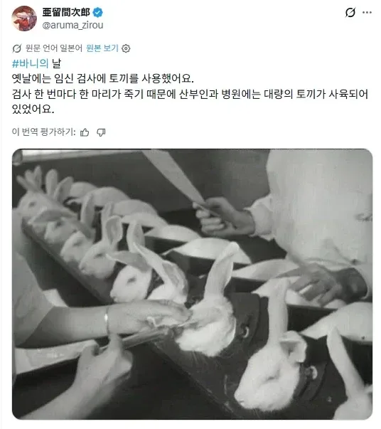 수십년전에 썼던 임신확인 방법