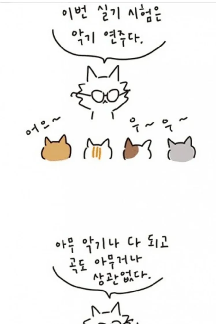 중학교 리코더 시험에서 80점 맞은 썰만화