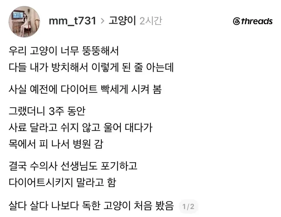 고양이 살 너무 찌우는 것도 학대다.jpg