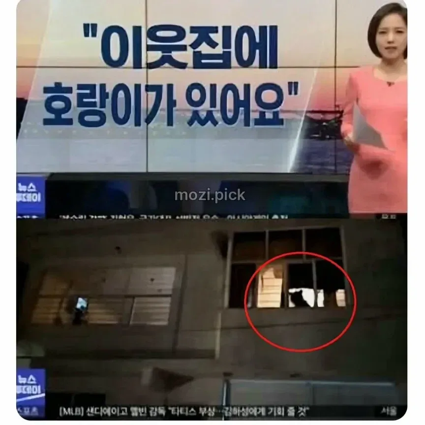 그림자 보고 집에 호랑이 있다고 신고