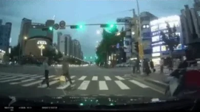 운전자 개 빡치는 상황.mp4