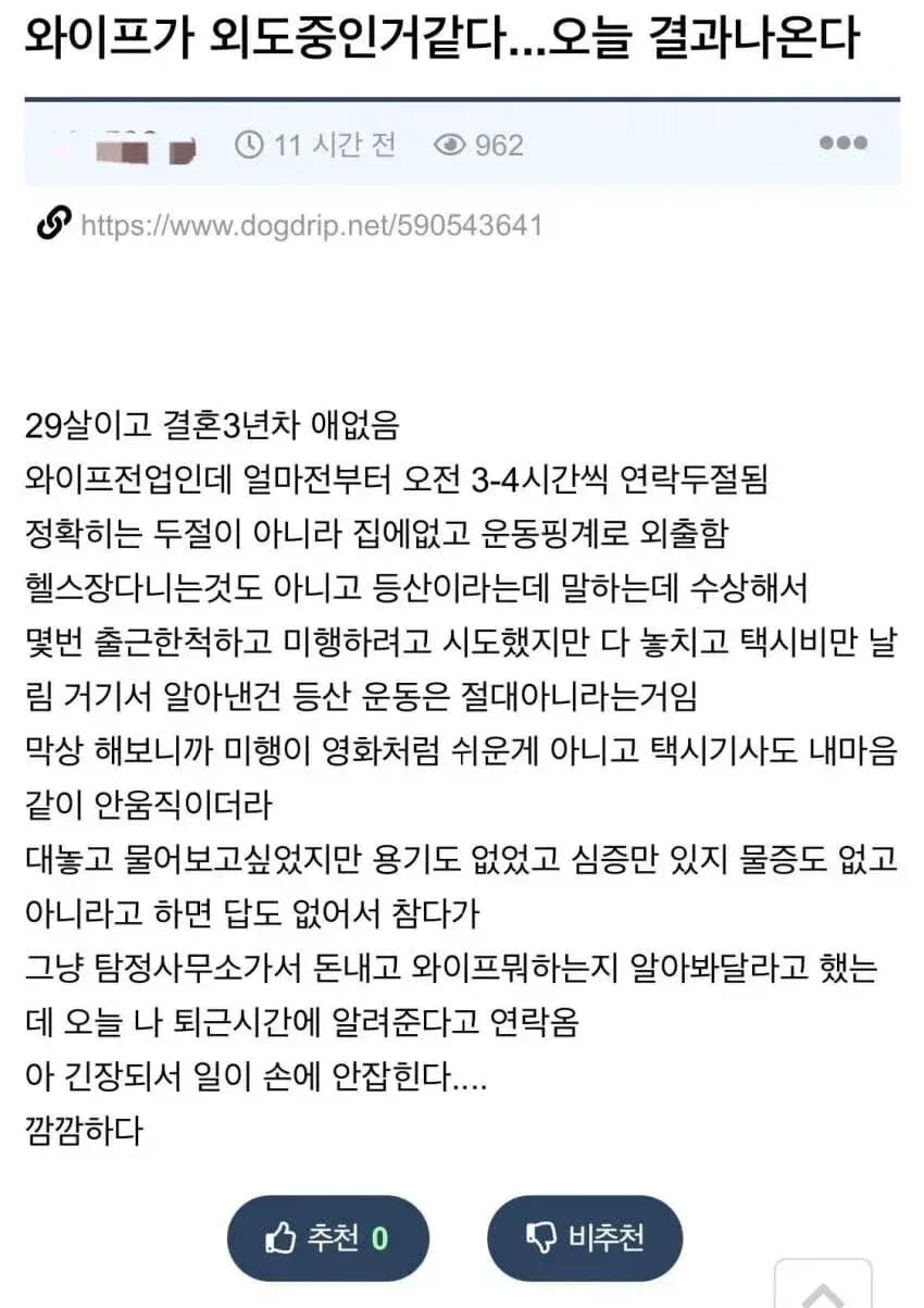 와이프 외도 후기