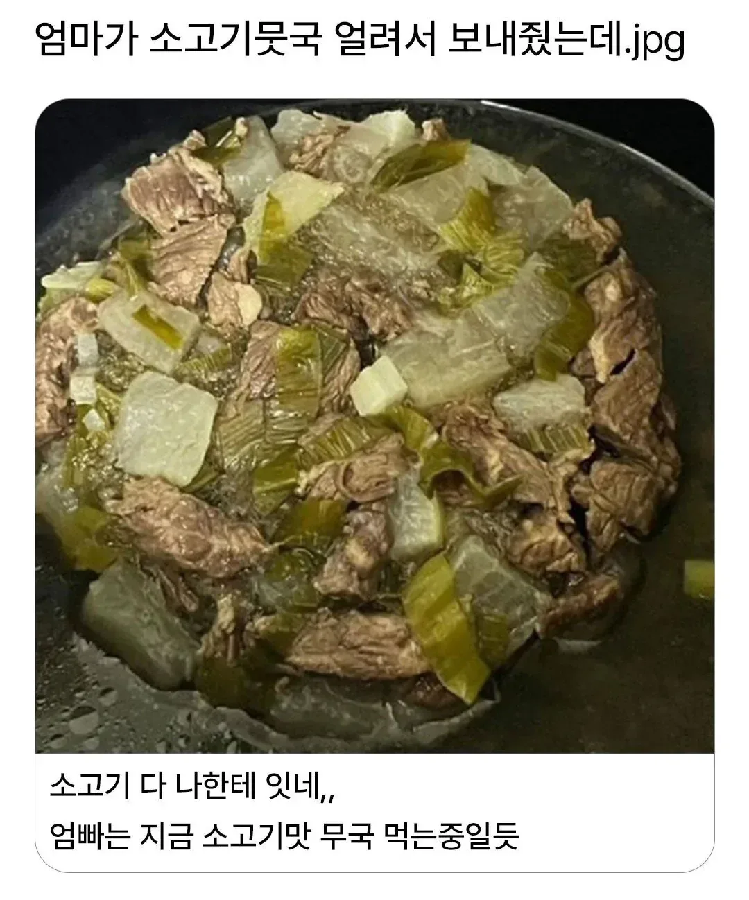 엄마가 소고기뭇국 얼려서 보내줬는데.jpg