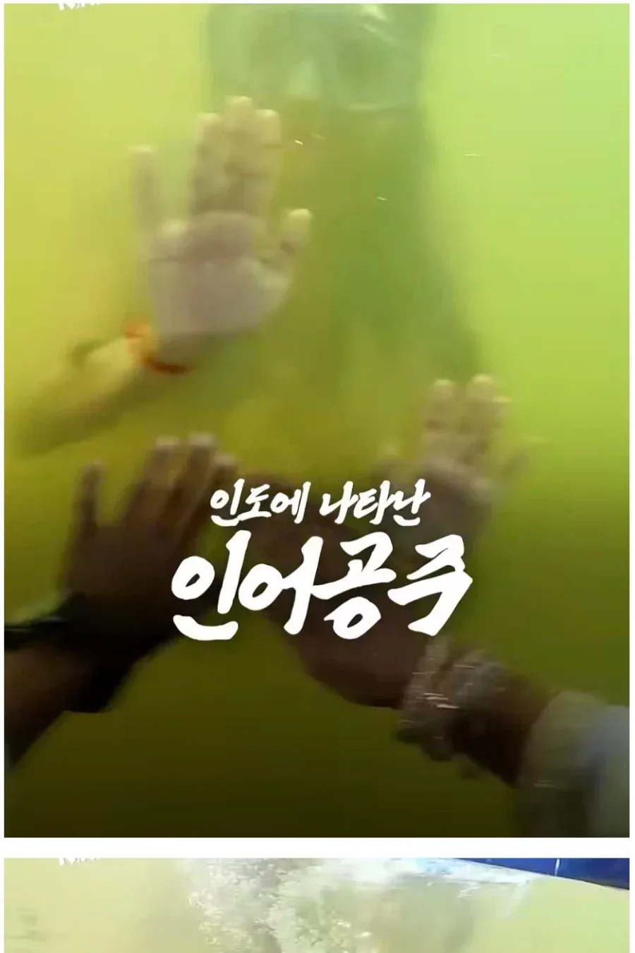 인도식 인어공주쇼.jpg