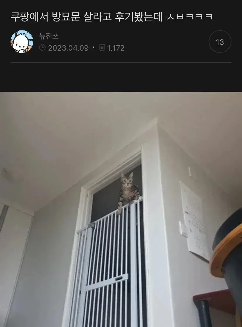 쿠팡 방묘문 구매 후기.jpg