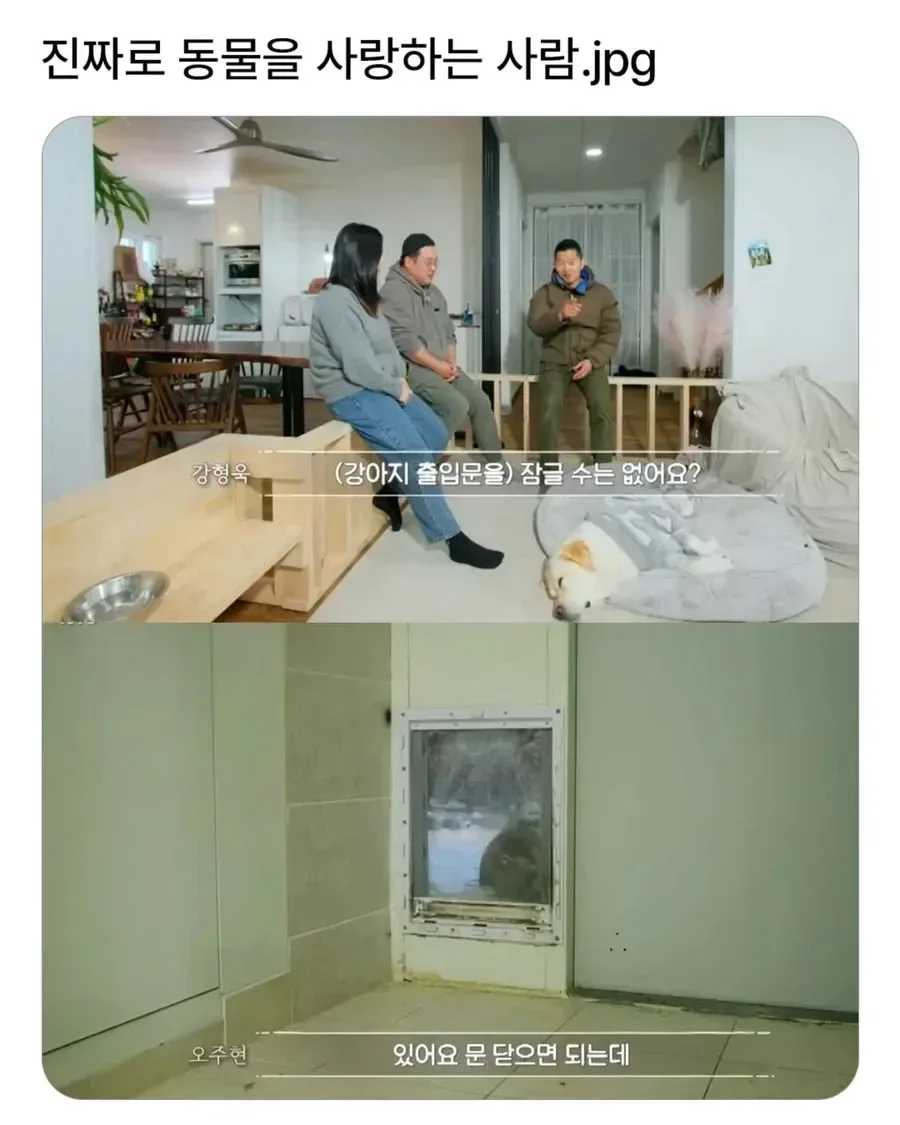 진짜로 동물을 사랑하는 사람