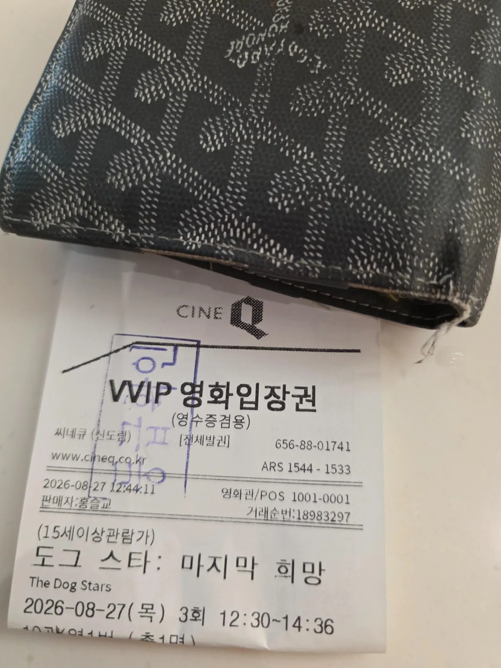 도그스타 마지막 희망 후기