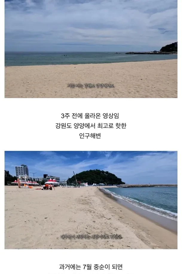 헌팅의 성지라던 양양 근황.jpg