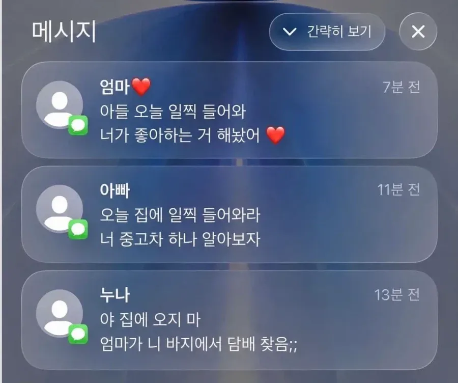 누나랑 사이가 아주 좋은 남동생.jpg
