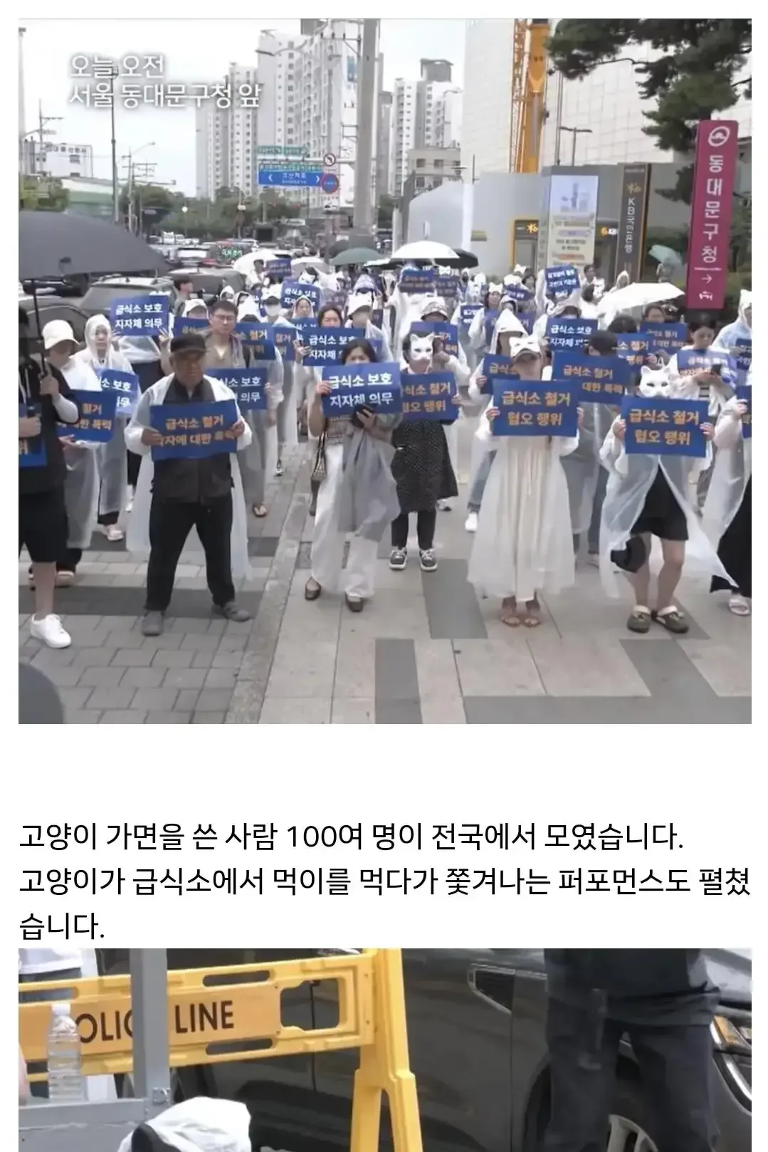 지난 6월 출범한 고양이 급식소 전국행동 (고급행동)