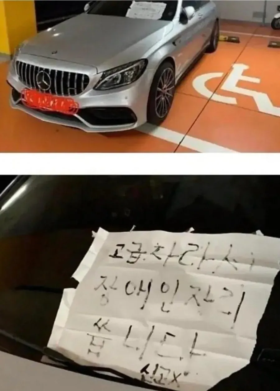 장애인 인증