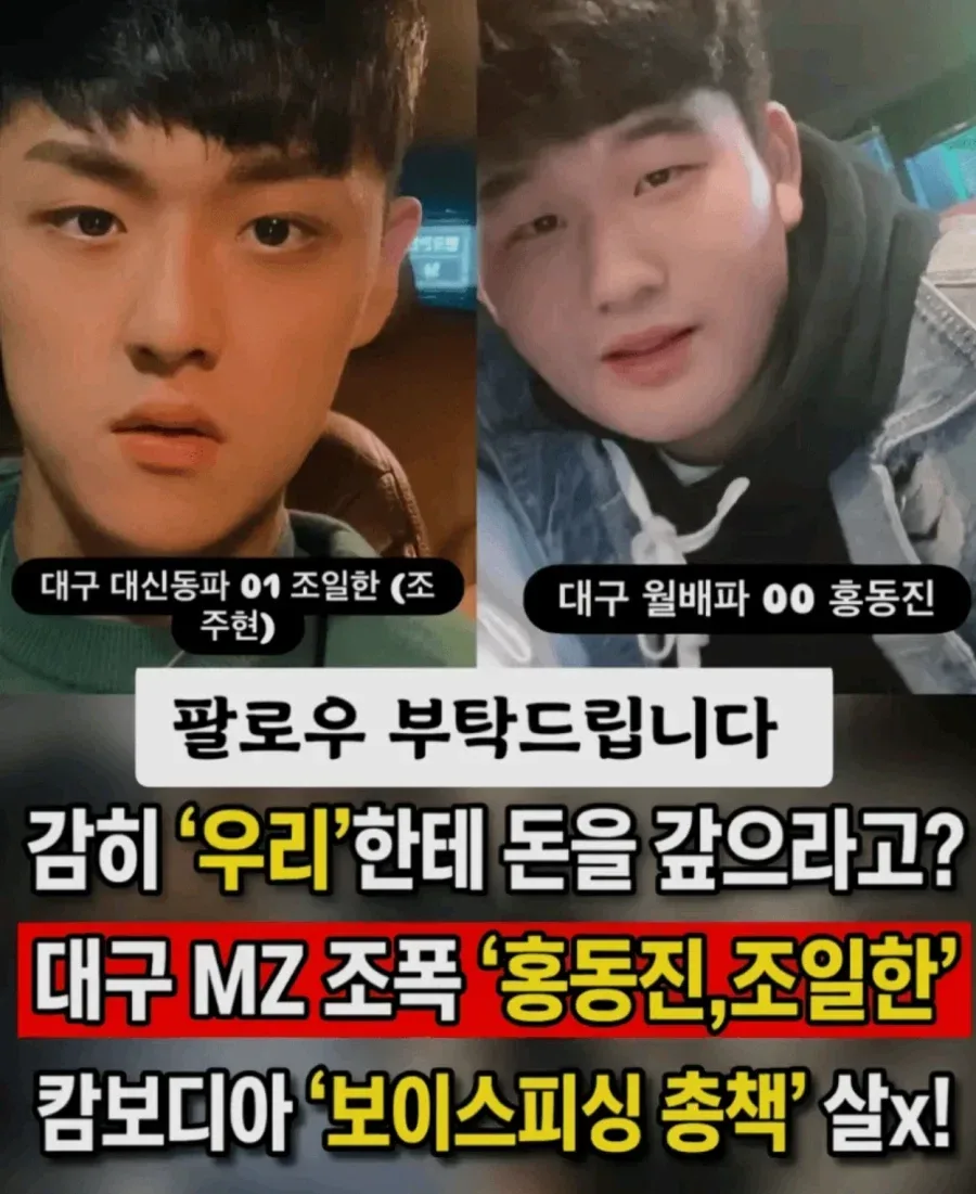 MZ조폭 근황