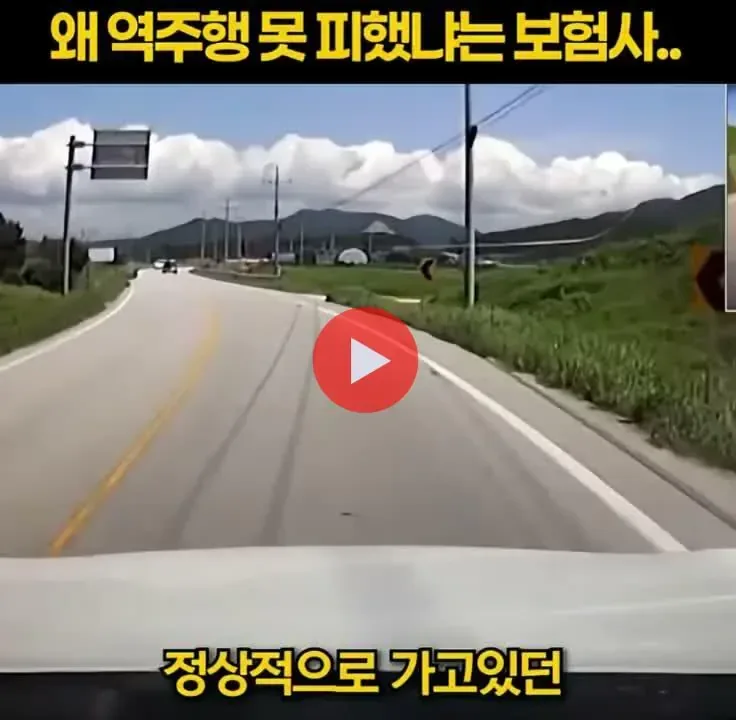 왜 역주행 못 피했냐는 보험사