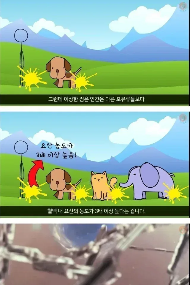 통풍에 걸리는 이유