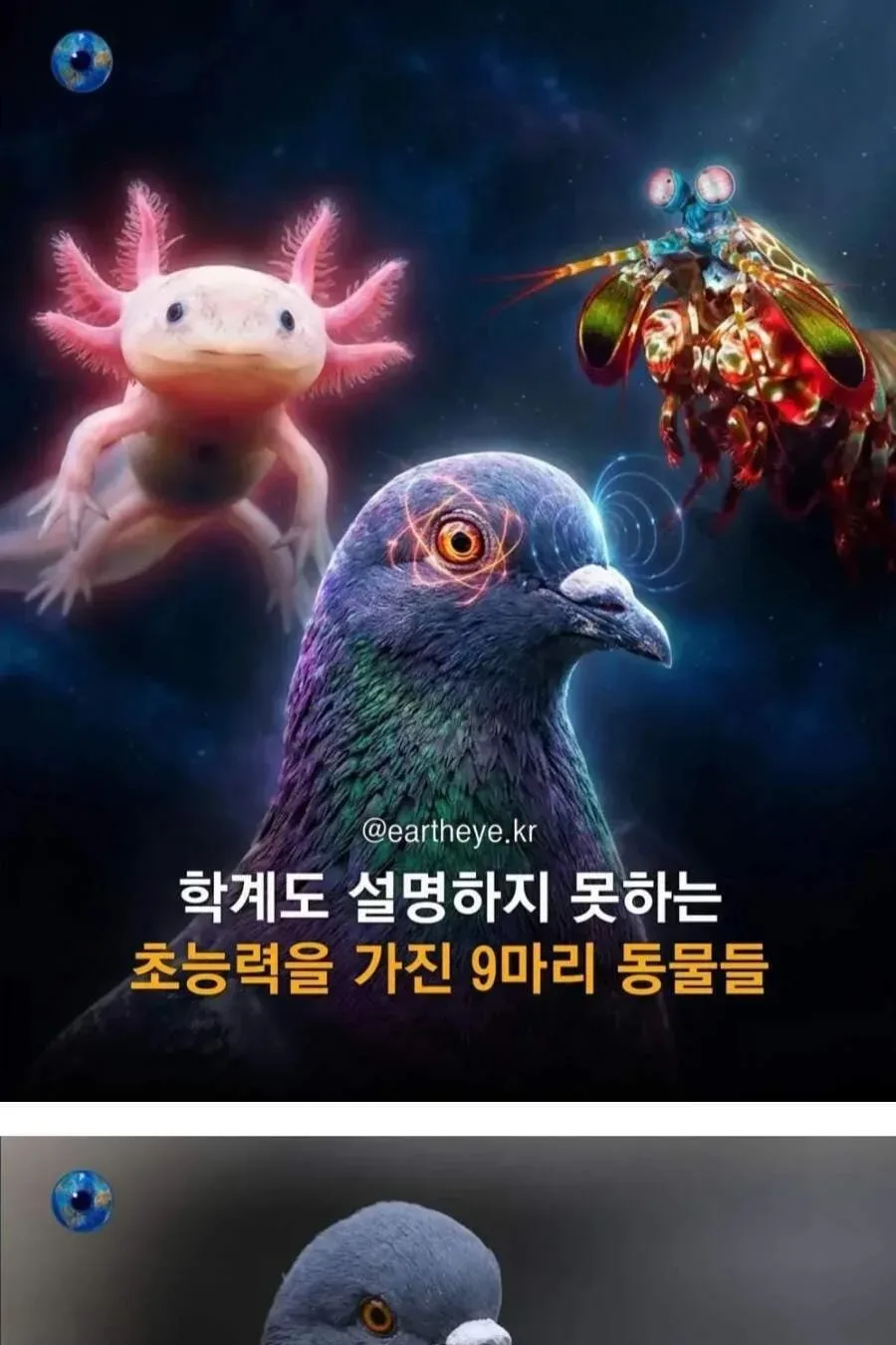 초능력을 가진 9마리 동물들.jpg