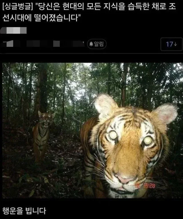 현대의 모든 지식을 가지고 조선시대로 갔는데도 죽은 이유