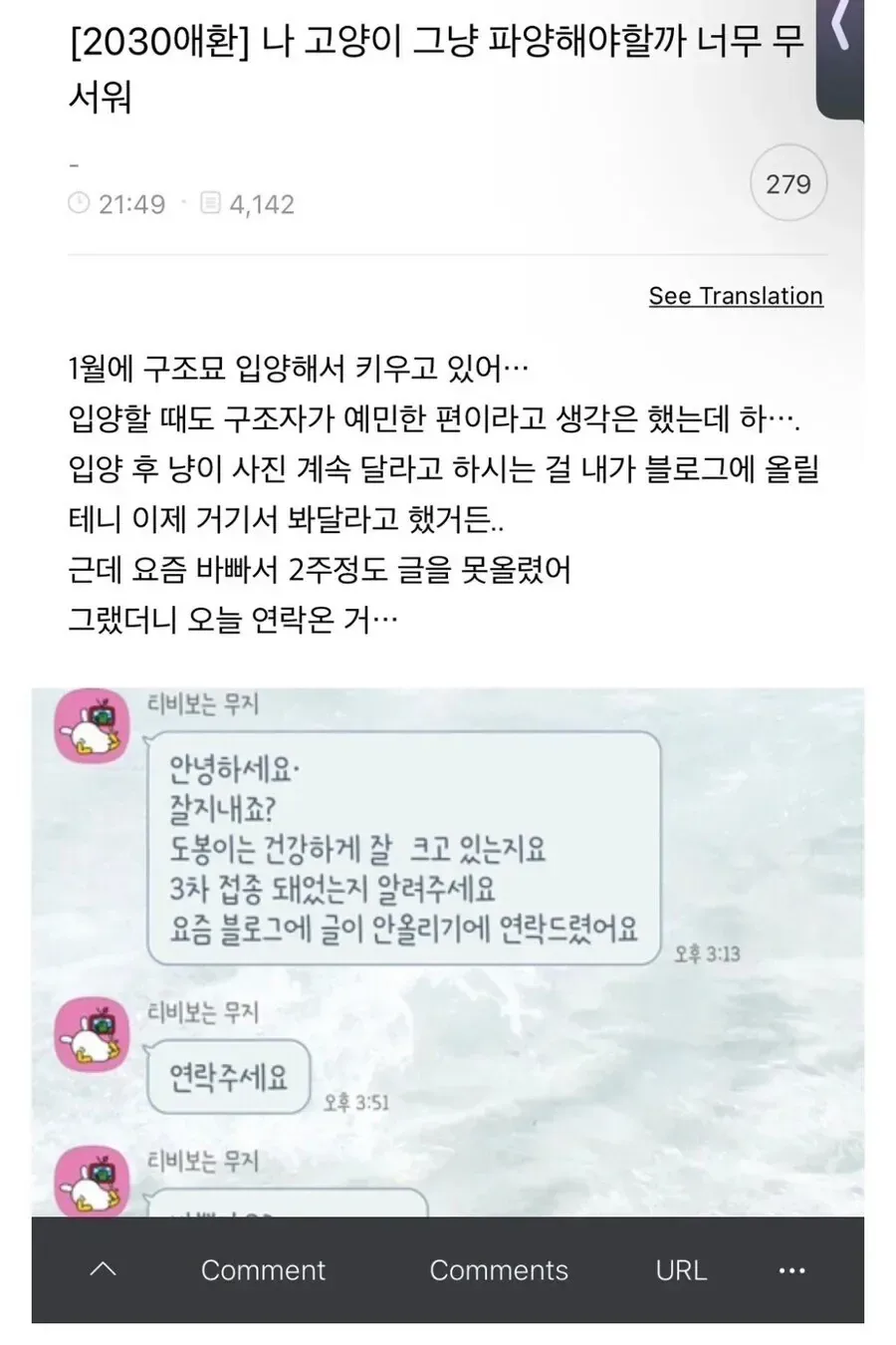 고양이 파양할까 고민하는 여자