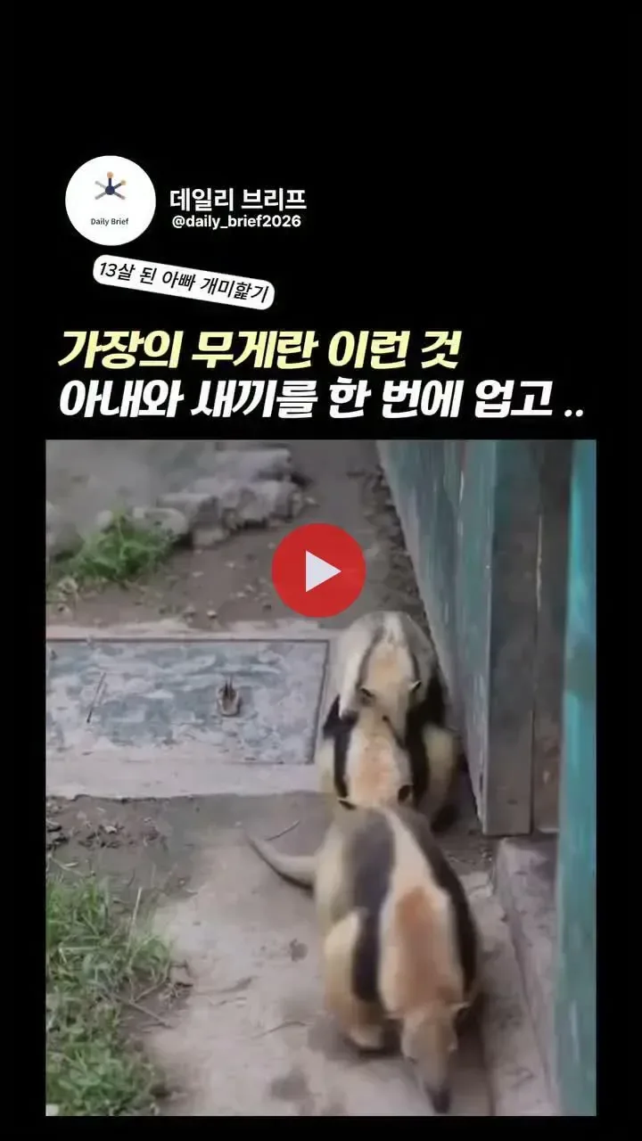 가장의 무게