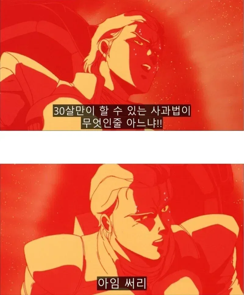 서른살만 할 수 있는 사과법