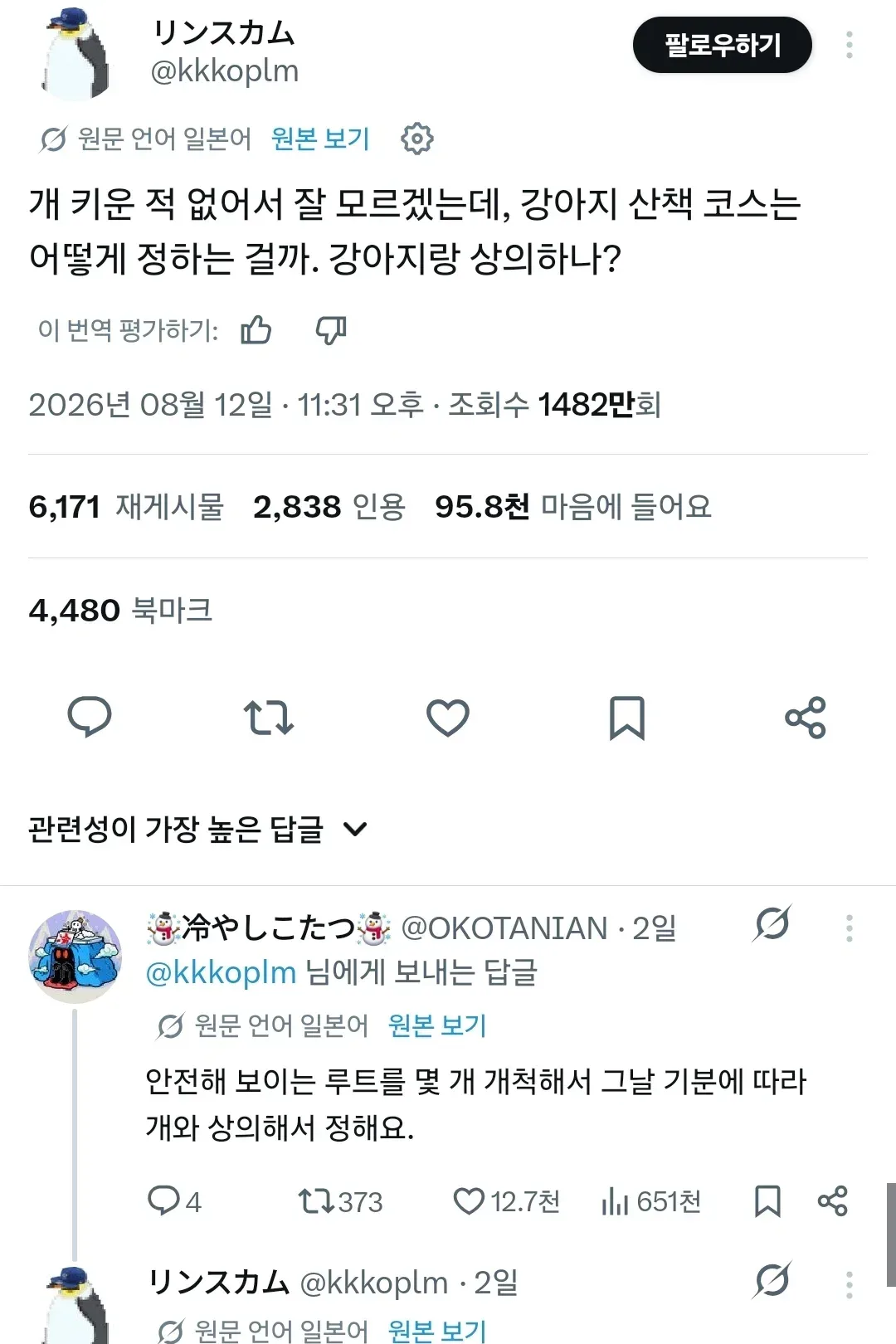강아지 산책 코스는 어떻게 정하나요? 강아지랑 상의하나?
