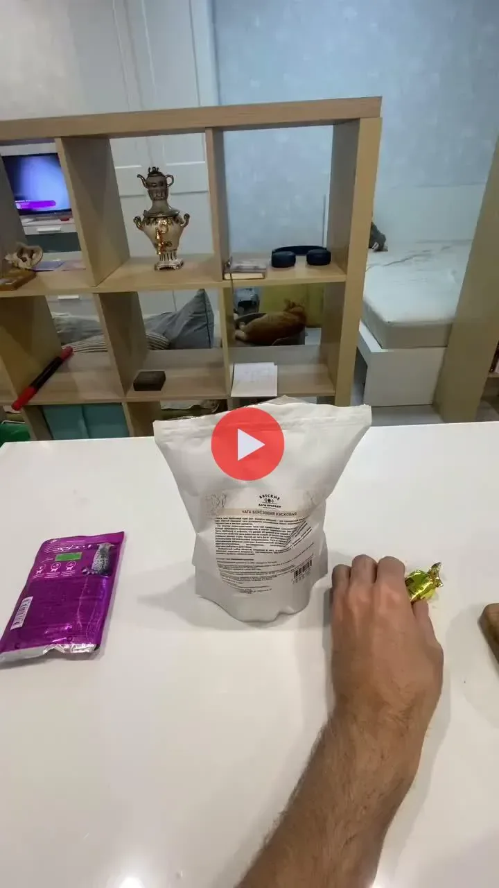 자기 간식봉지 만지는 소리 귀신같이 아는 야옹이