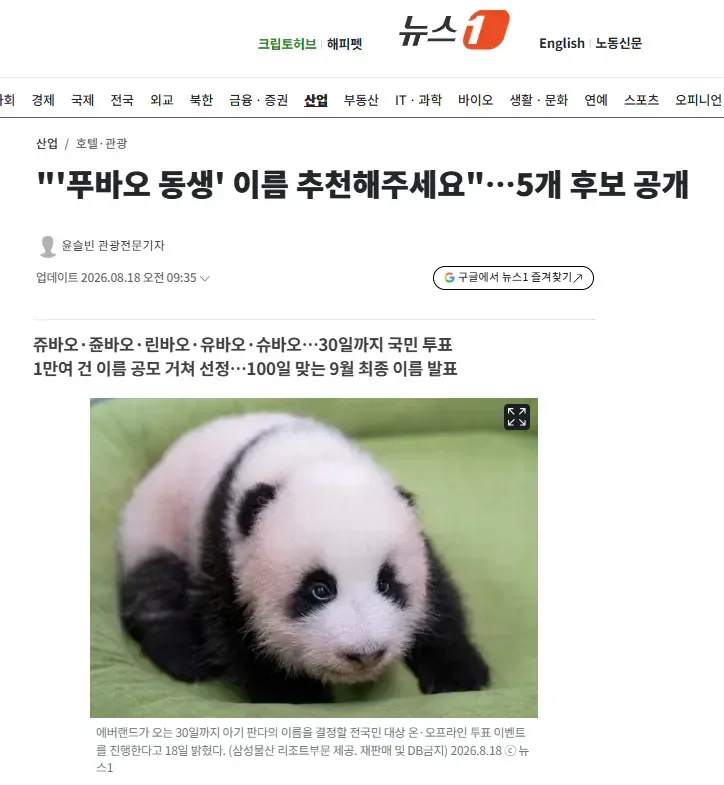 "'푸바오 동생' 이름 추천해주세요"…5개 후보 공개
