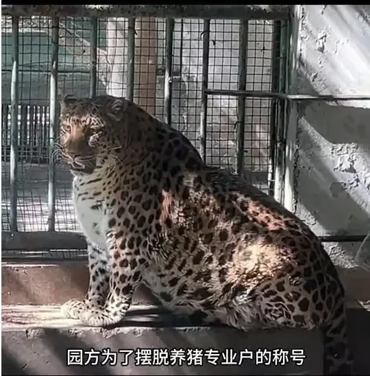 사료 민영화한 동물원의 최후